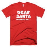 Dear Santa I Can Explain . . .